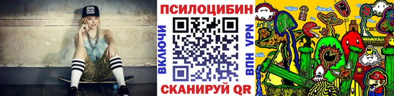Галлюциногенные грибы Psilocybe  Темников 